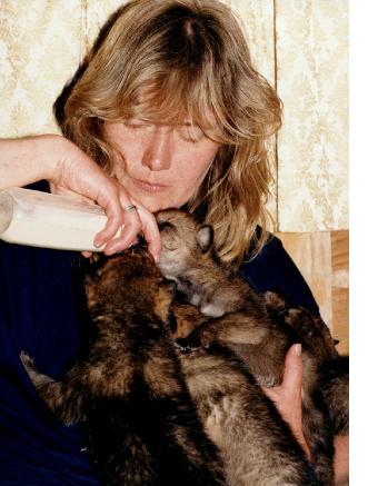 Karin Feeding Karin's Three-Week-Old Pups